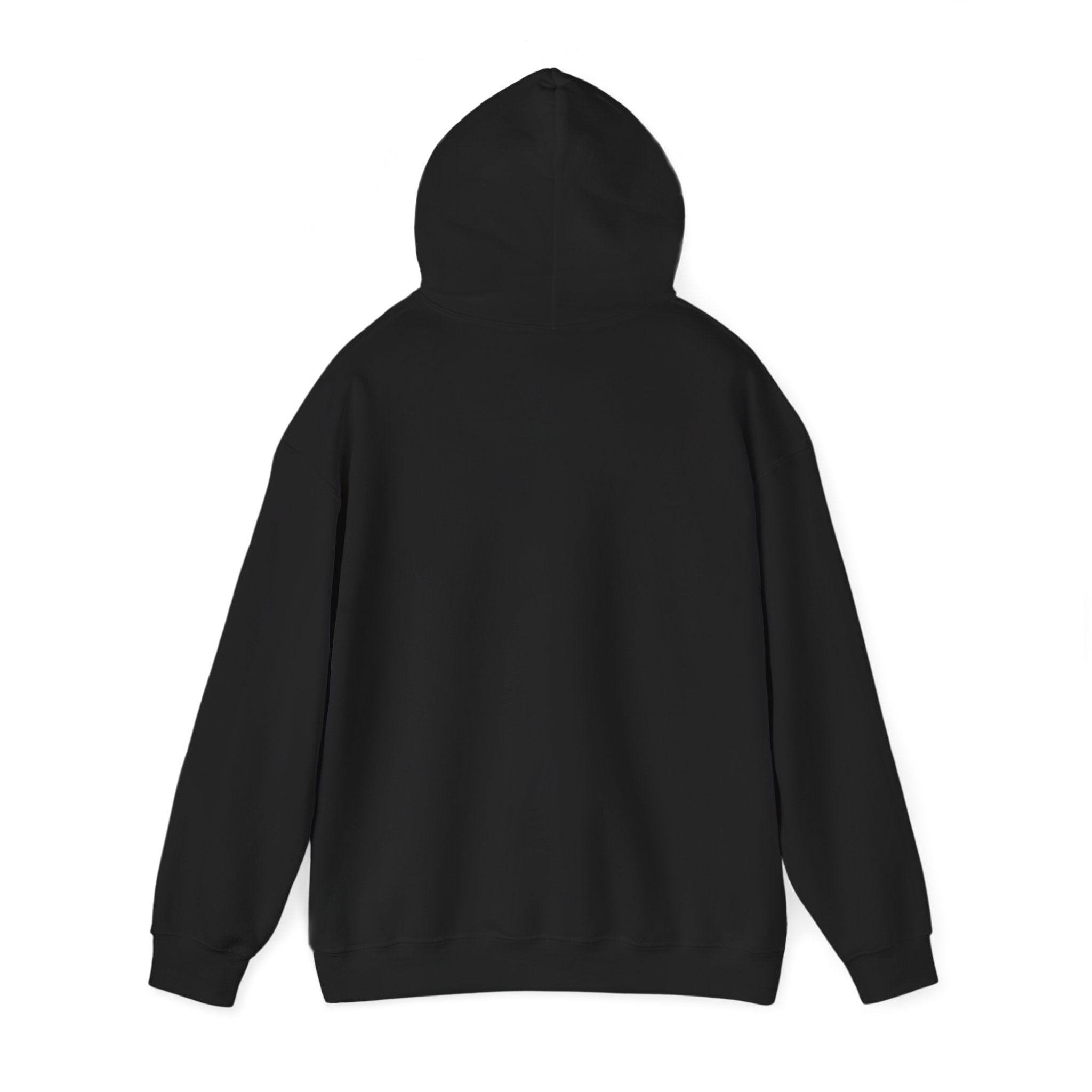 Life is Better with Trains Hoodie | OTR Designs
