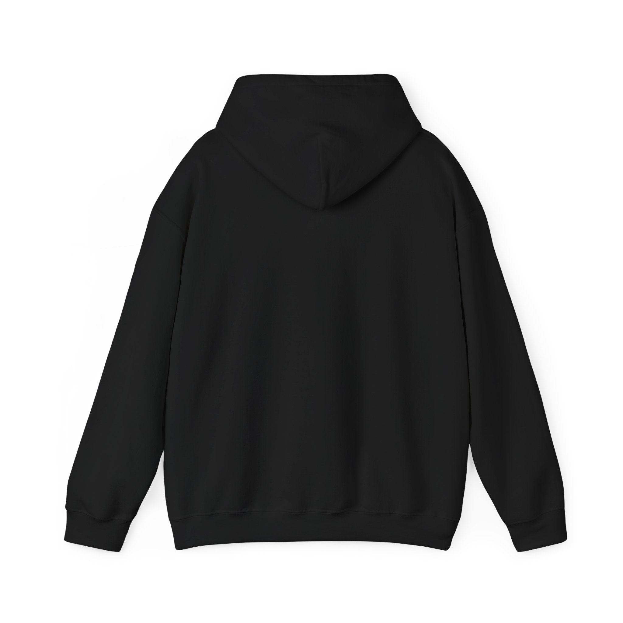 Life is Better with Trains Hoodie | OTR Designs